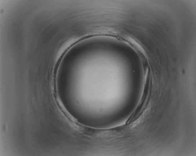 X0000071781093200606301214