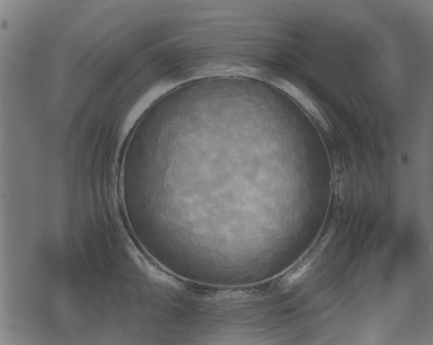 X0000071781094200606301214