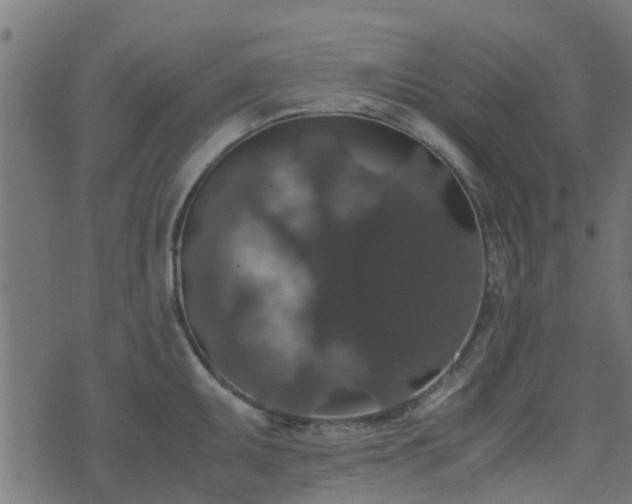 X0000071781095200606301214