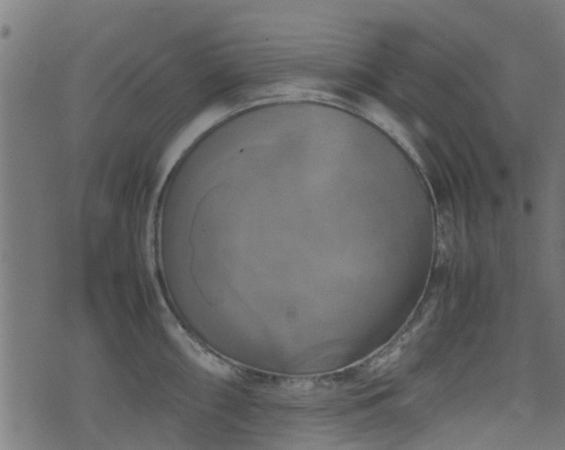 X0000071781098200606301214