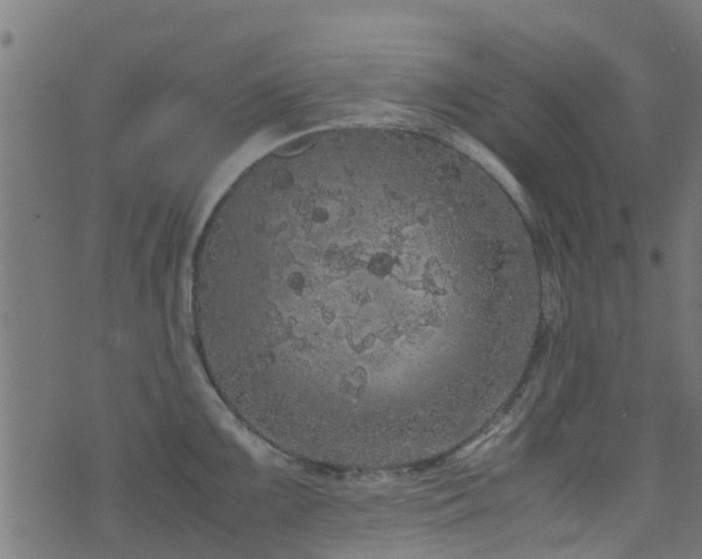 X0000071781099200606301214