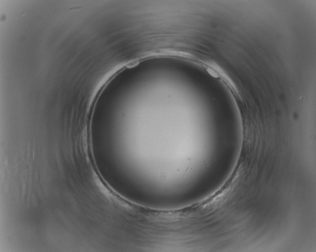 X0000071781100200606301214