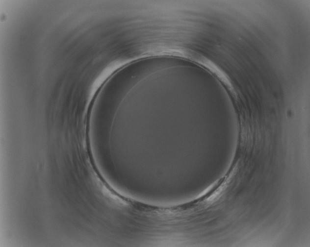 X0000071781102200606301214