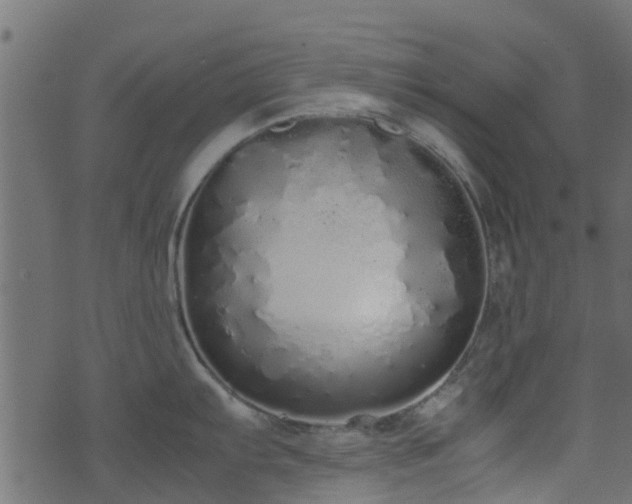 X0000071781103200606301214