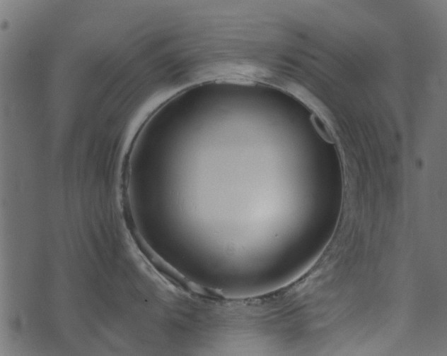 X0000071781104200606301214