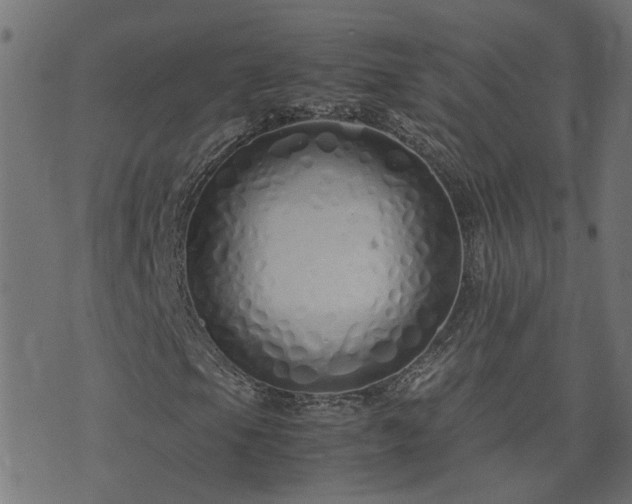 X0000071781105200606301213