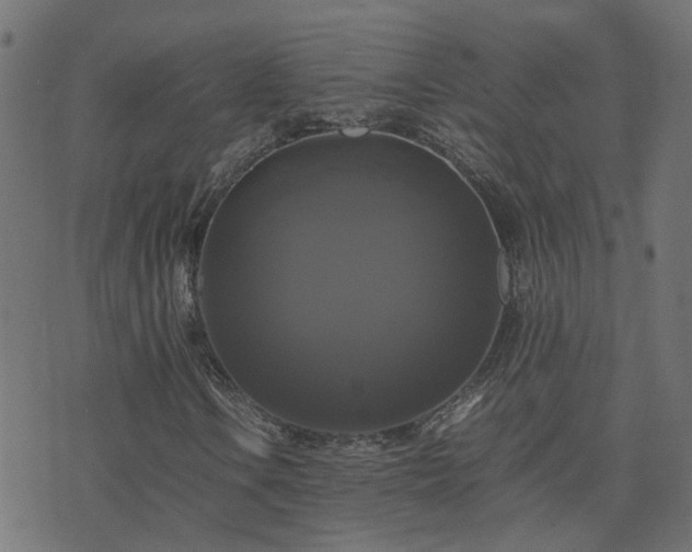 X0000071781106200606301213