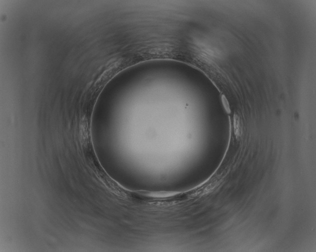 X0000071781107200606301213