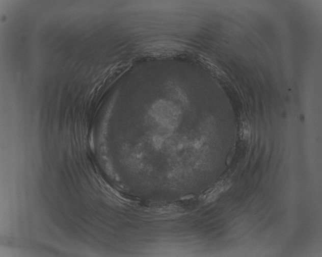 X0000071781108200606301213