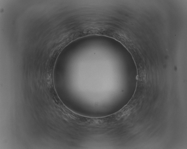 X0000071781109200606301213