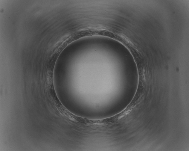 X0000071781110200606301213