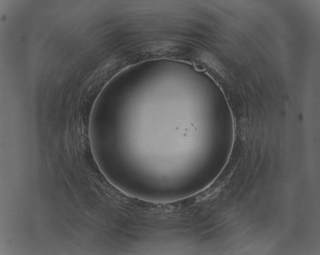 X0000071781111200606301213