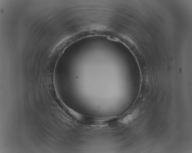 X0000071781112200606301213