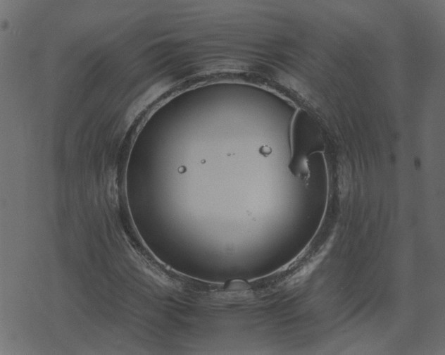 X0000071781113200606301213