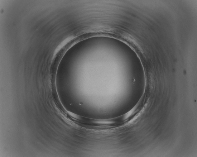 X0000071781114200606301213