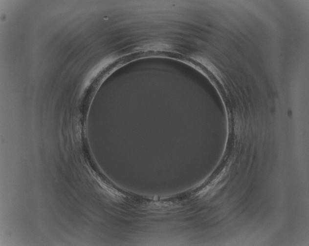 X0000071781115200606301213