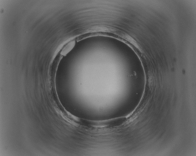 X0000071781116200606301213