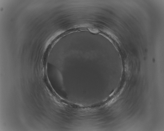 X0000071781117200606301213