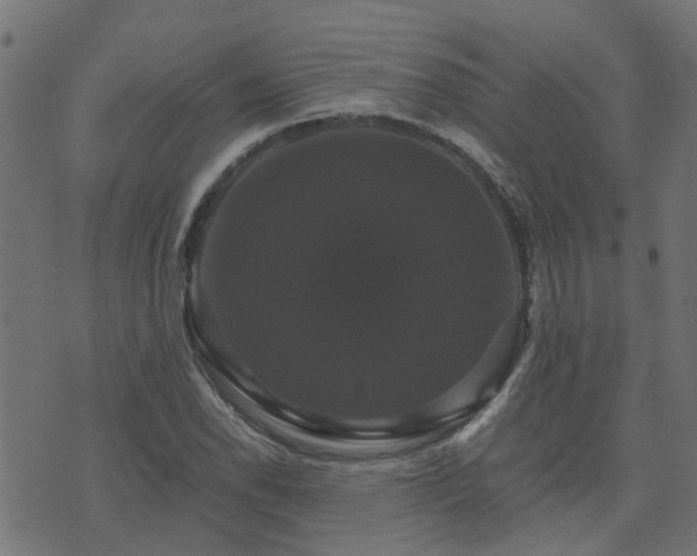 X0000071781118200606301213