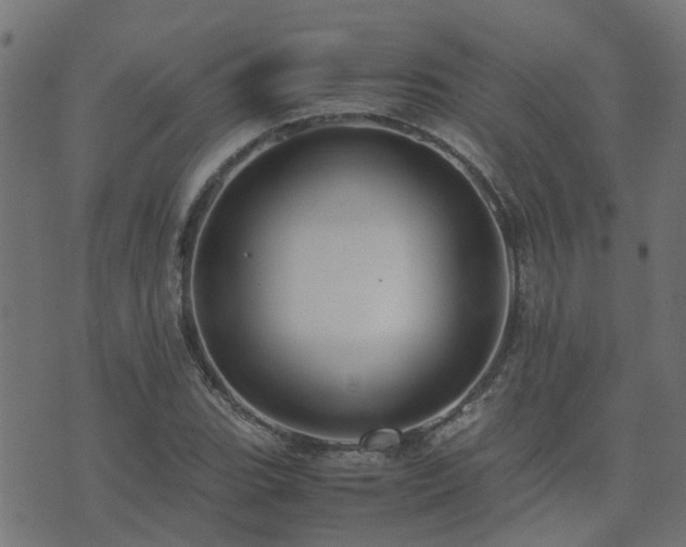 X0000071781119200606301213