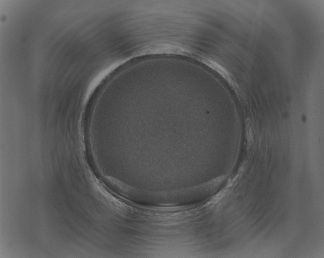 X0000071781120200606301213