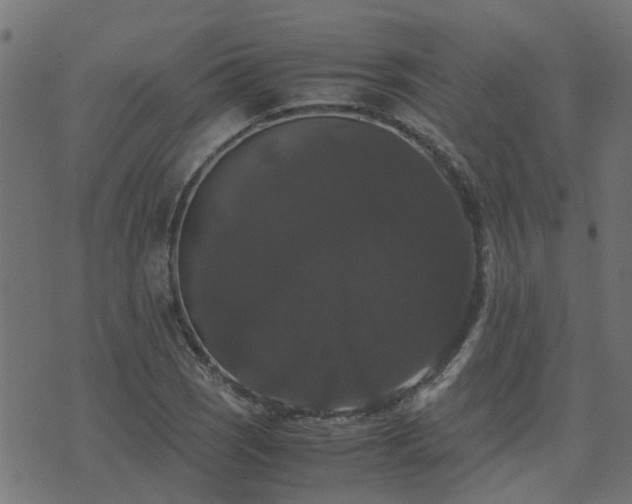 X0000071781121200606301213