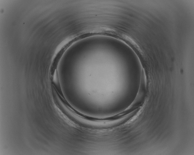 X0000071781122200606301213