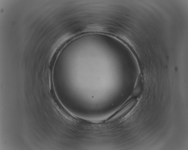 X0000071781123200606301213