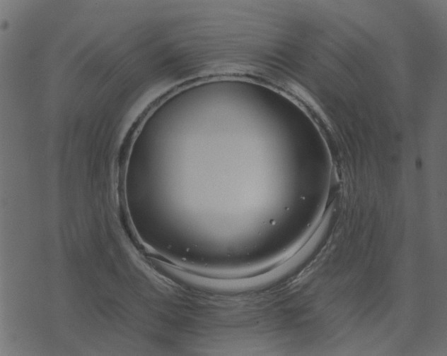 X0000071781124200606301213