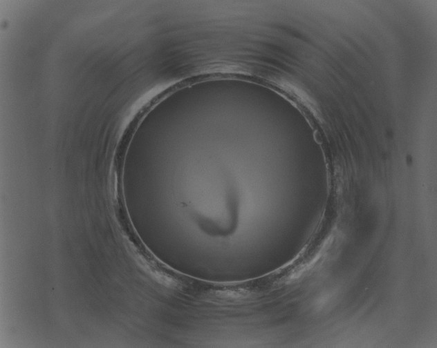 X0000071781125200606301213