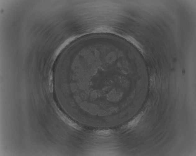 X0000071781126200606301213