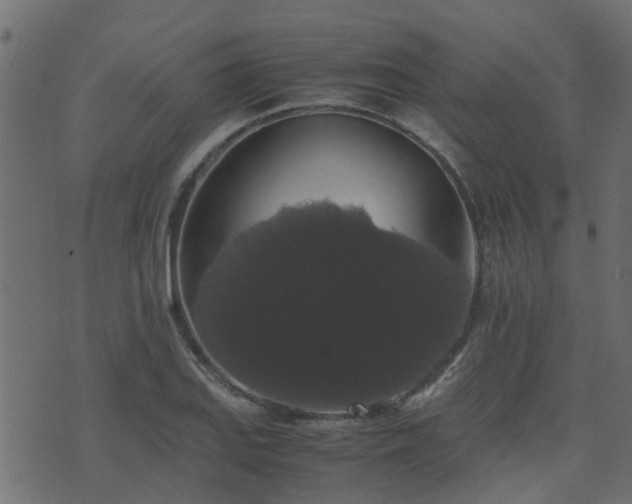 X0000071781127200606301213