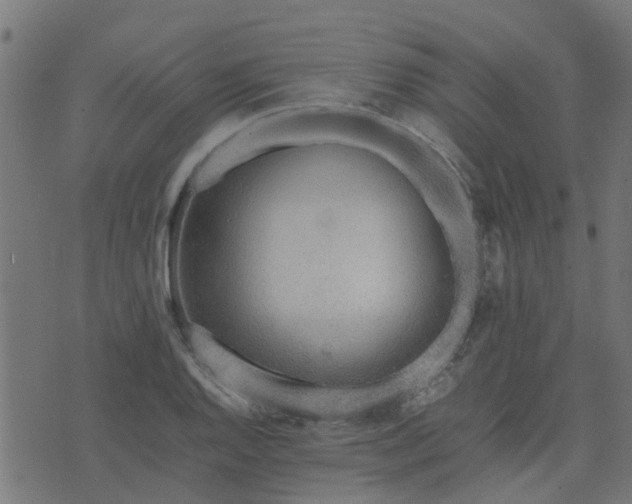 X0000071781128200606301213