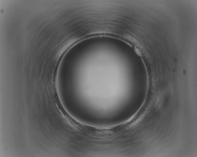 X0000071781129200606301213