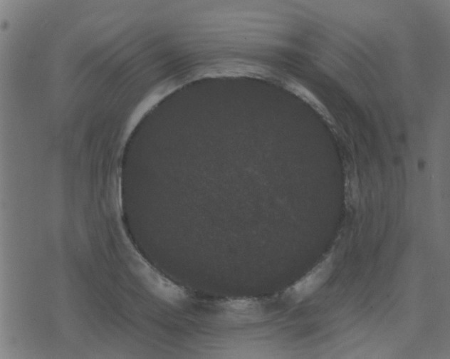 X0000071781130200606301213