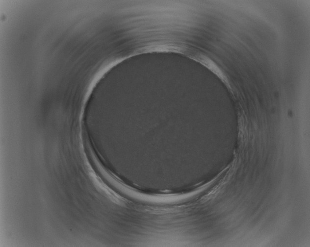 X0000071781132200606301213