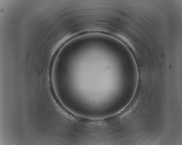 X0000071781133200606301213