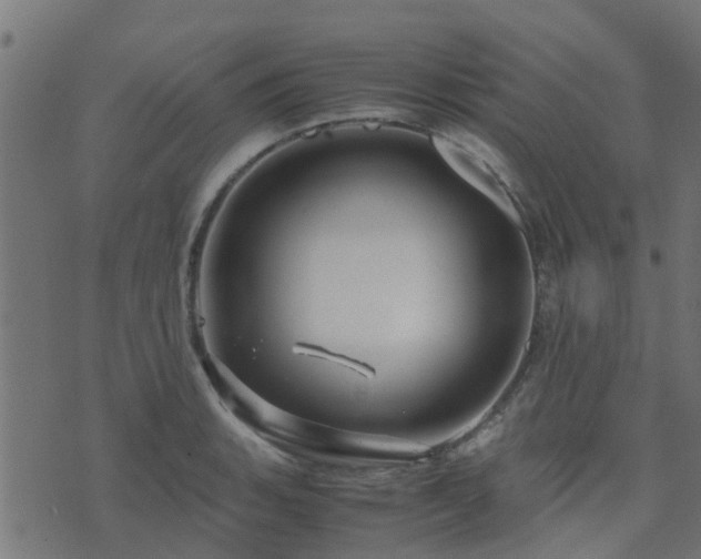 X0000071781135200606301213