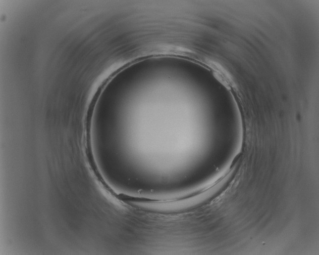 X0000071781136200606301213