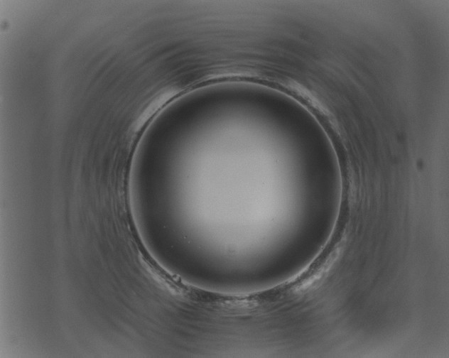 X0000071781137200606301213