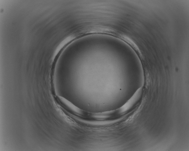 X0000071781138200606301213