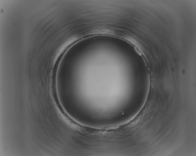 X0000071781139200606301214