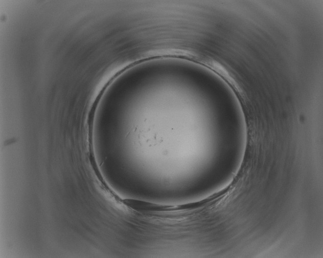 X0000071781140200606301214