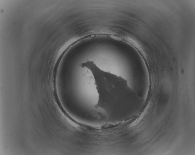 X0000071781141200606301214