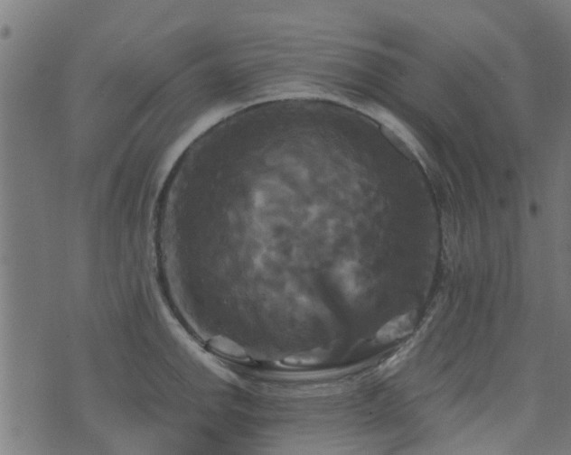 X0000071781142200606301214