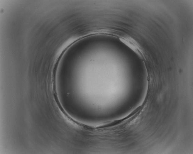 X0000071781143200606301214