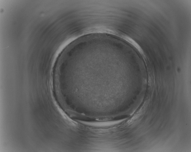 X0000071781144200606301214