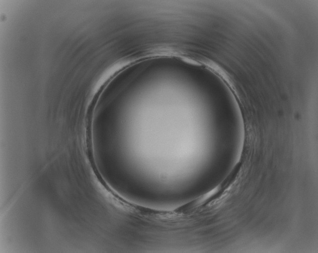 X0000071781147200606301214