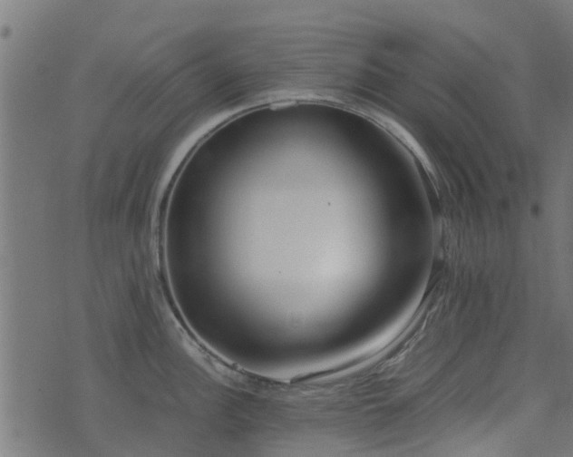 X0000071781148200606301214