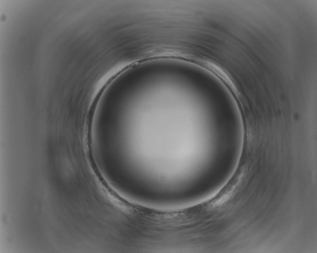 X0000071781149200606301214